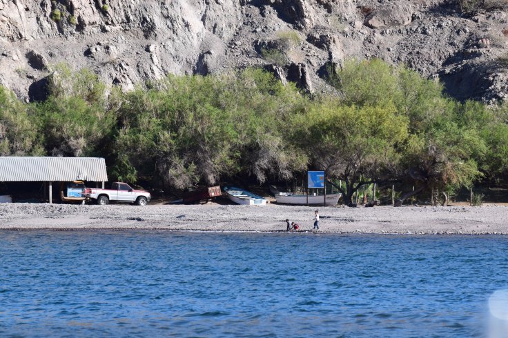 aguaverde town 1 kids