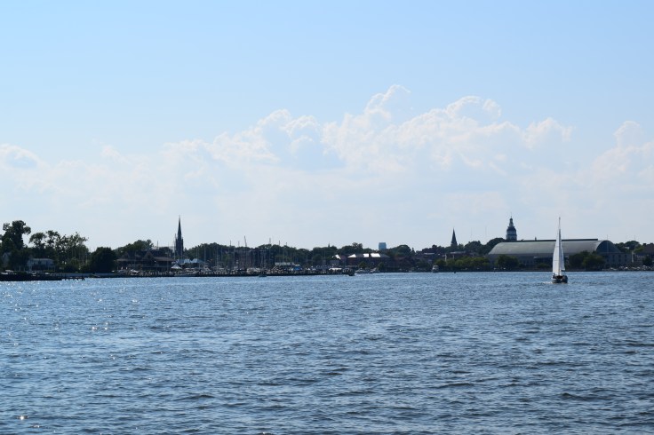 DSC_0001 (1)
