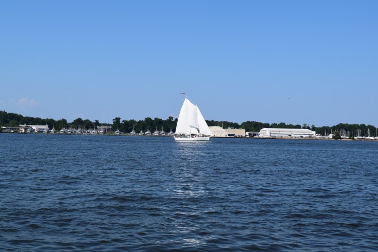 DSC_0003 (1)