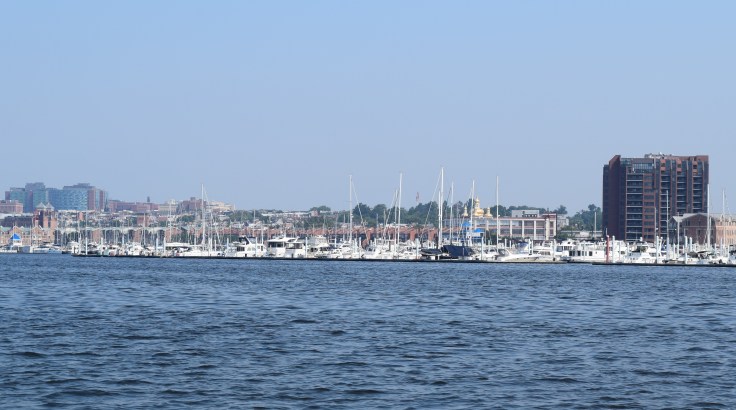 DSC_0003 (2)