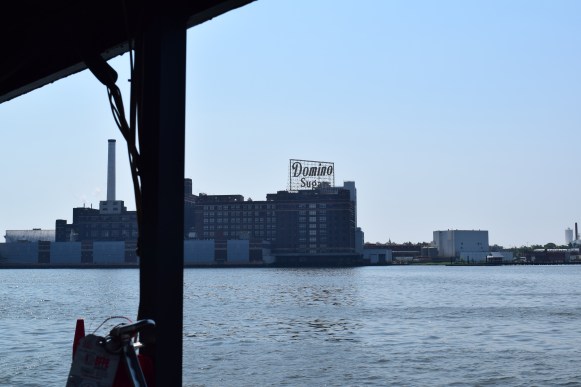 DSC_0013 (1)