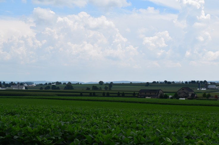DSC_0027.JPG