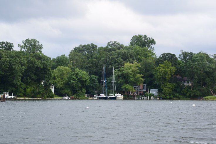 DSC_0101 (1)
