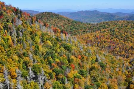 depositphotos_87068190-stock-photo-fall-colors-in-the-appalachian