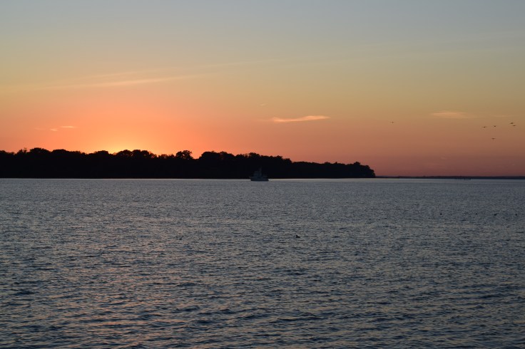 DSC_0025 (1)